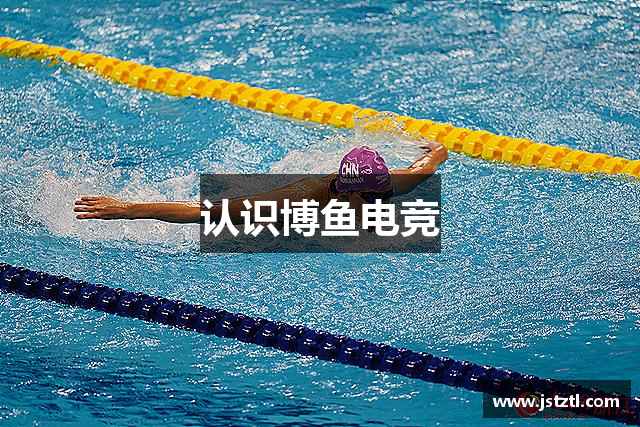 认识博鱼电竞
